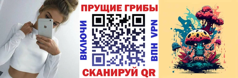 Псилоцибиновые грибы GOLDEN TEACHER  Купить где  Стародуб 
